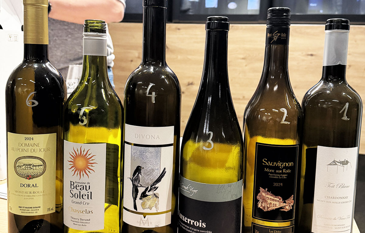 20260225_actualite_012